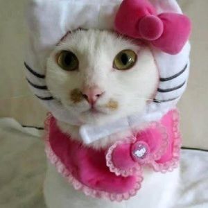 Meet your Posher, Irene